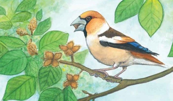 260102 Wat eet jij nou illustratie